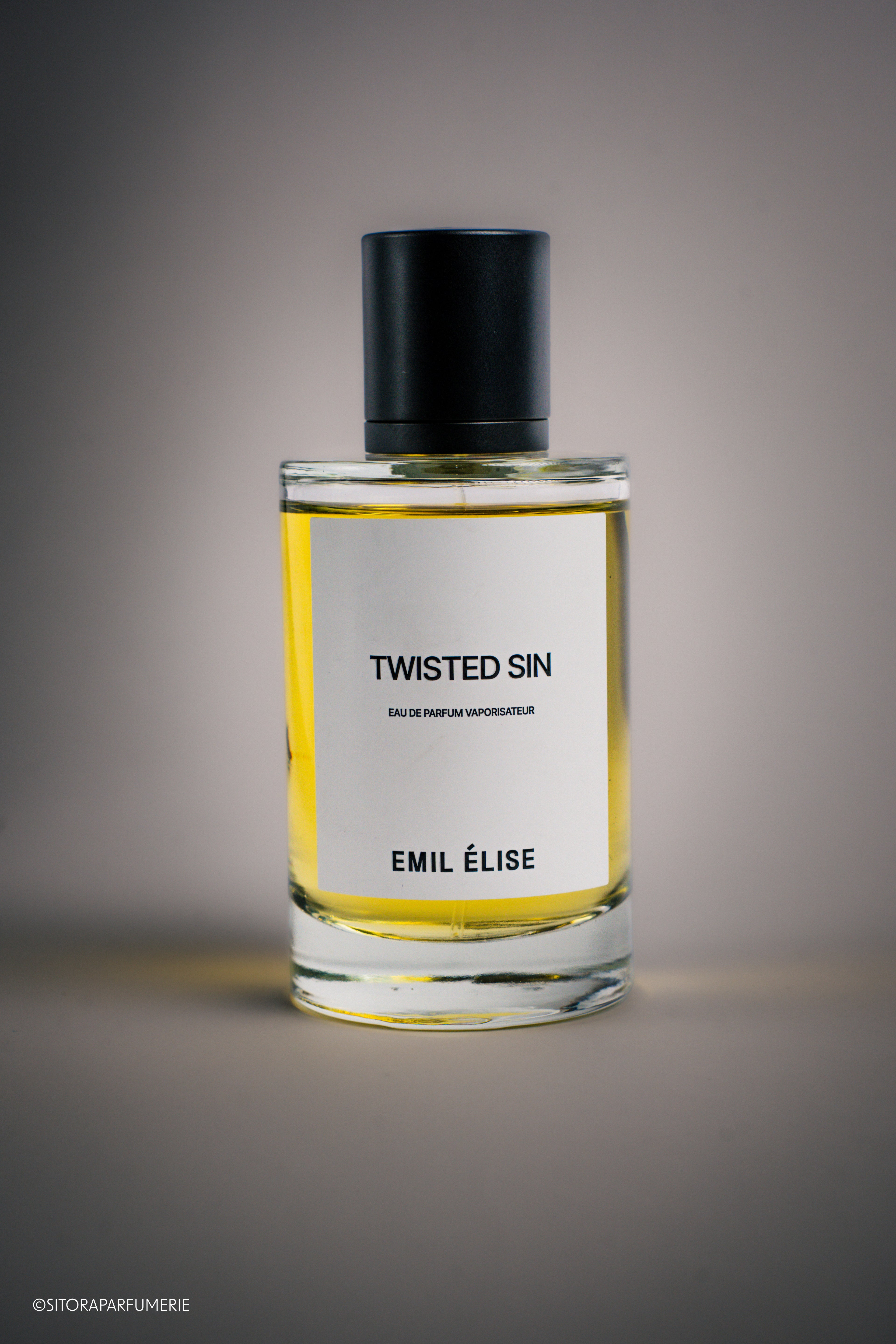Emil Élise - Twisted Sin