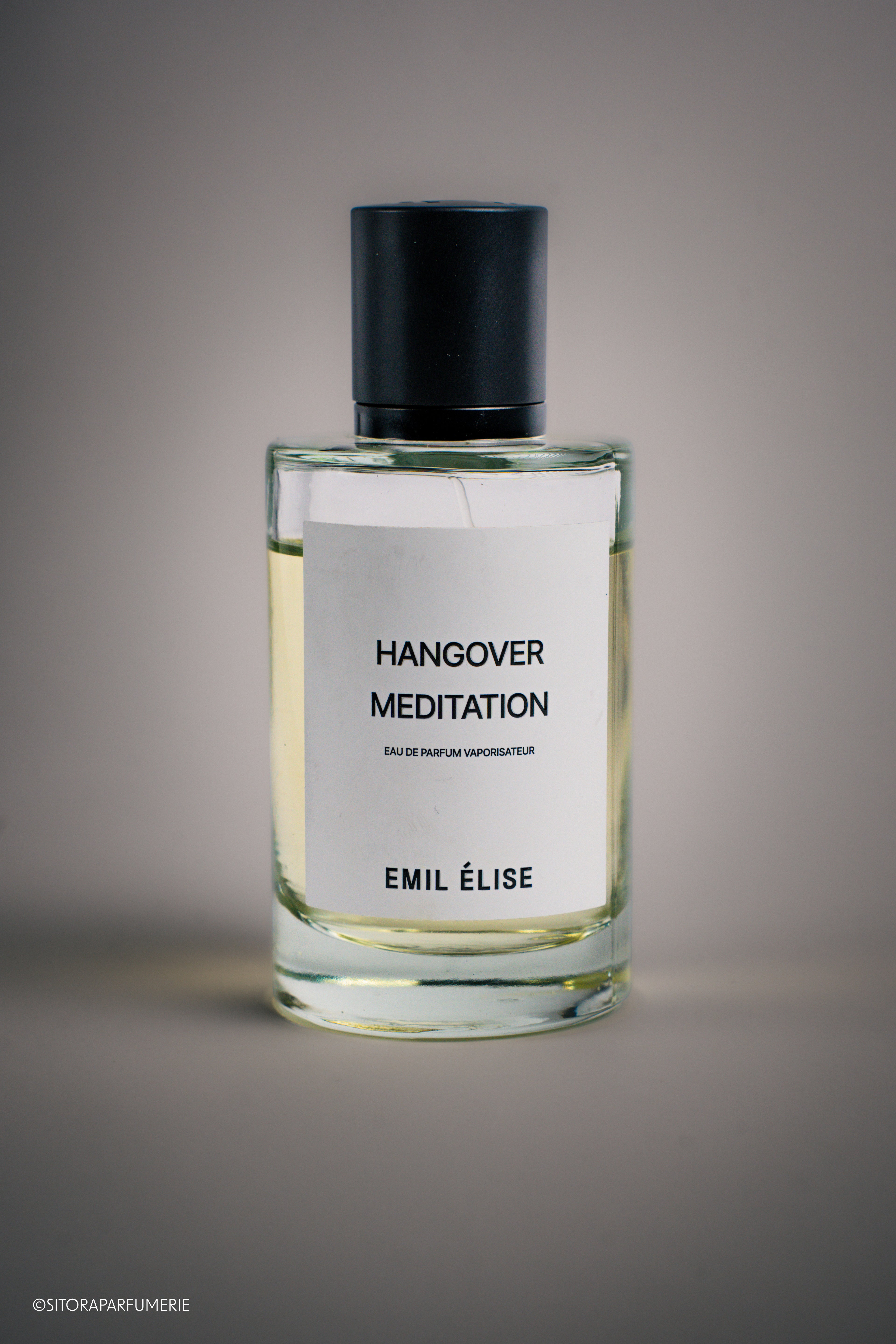 Emil Élise - Hangover Meditation